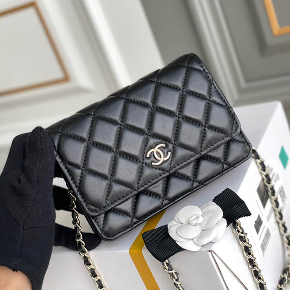 Ch*el mini wallet on chain