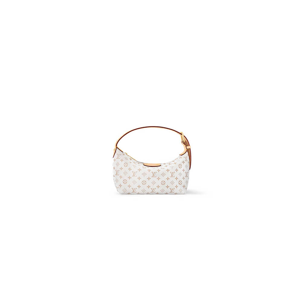 LV Hills Pochette