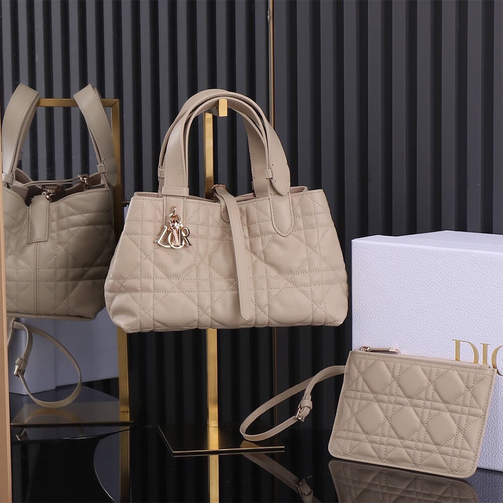 small D*or toujours bag(high-end grade)