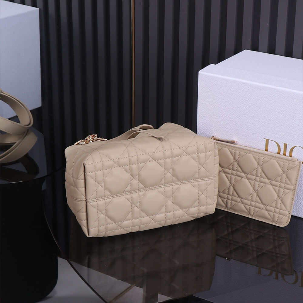 small D*or toujours bag(high-end grade)