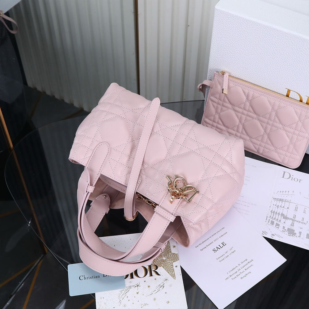 small D*or toujours bag(high-end grade)