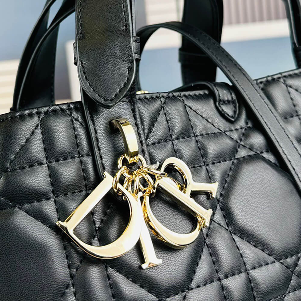 small D*or toujours bag