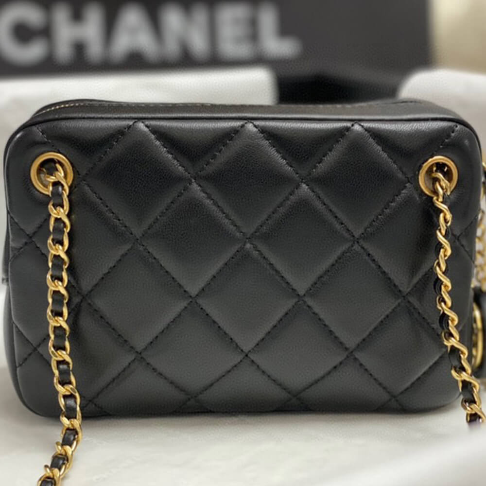 Ch*el mini camera case